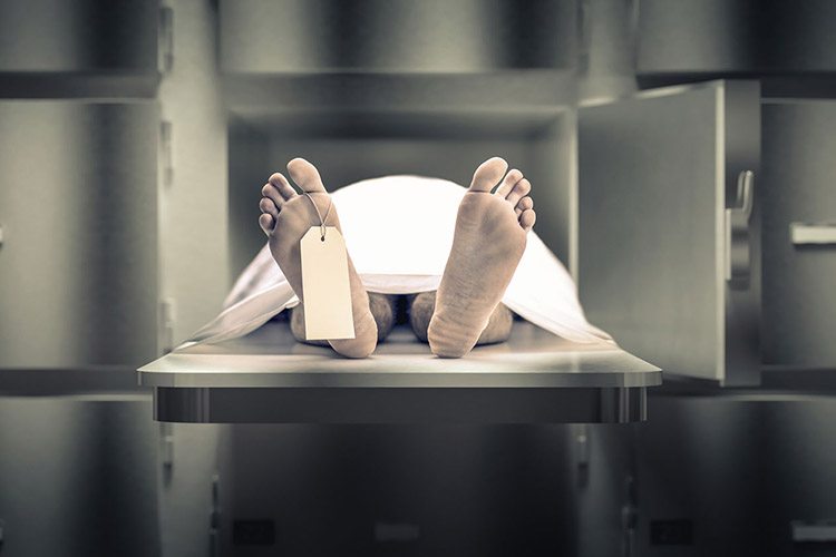 Kamera im Sarg enthüllt Bilder, die niemand erwartet hat ➤ Globenow.info