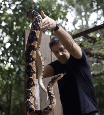 Unglaublich: So gigantisch sind die größten Schlangen ➤ Globenow.info