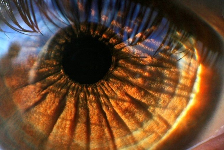 Sprechende Augen: Entdecken Sie, was Ihre Augenfarbe verrät ➤ Globenow.info