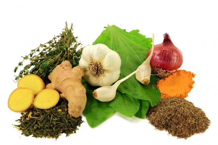 Alimentación: ¿Realmente funcionan los alimentos con propiedades antibióticas naturales?