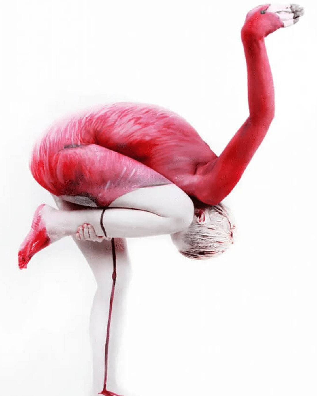 Arte Corporal: Obras de Arte Hipnotizantes Que Vão Tirar o Seu Fôlego