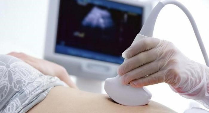 Ela pensava que sua gravidez havia terminado. Mas três semanas depois, os médicos descobriram algo inimaginável ➤ Globenow.info