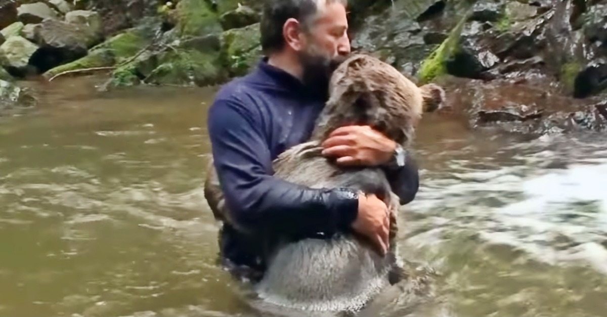 Foi isso que um urso fez com o homem que salvou um filhote de urso