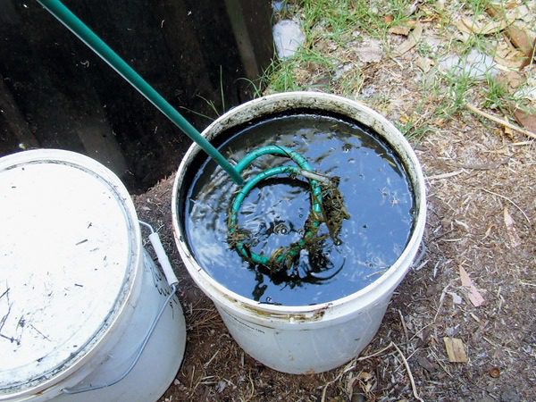 Mi történik, ha zselatint ültetünk a kertben?