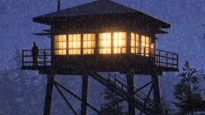 El extraño descubrimiento de un guardaparques en lo profundo del bosque