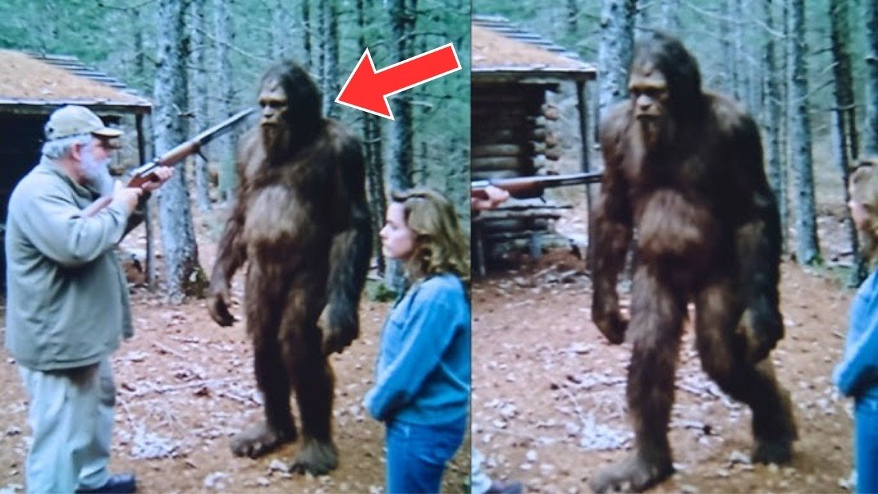 Ein Jäger stieß auf „Bigfoot“ – die DNA-Analyse verblüffte die Wissenschaftler