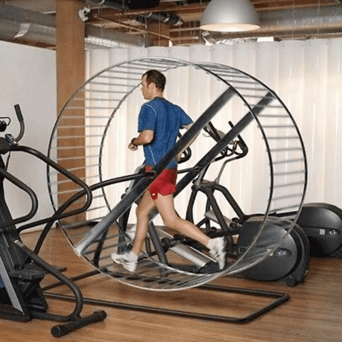 Diese Fitnessstudio-Fails bringen dich zum Lachen – und bringen dich gleichzeitig in Topform ➤ Globenow.info