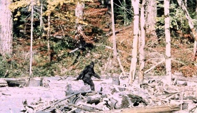 Ein Jäger stieß auf „Bigfoot“ – die DNA-Analyse verblüffte die Wissenschaftler