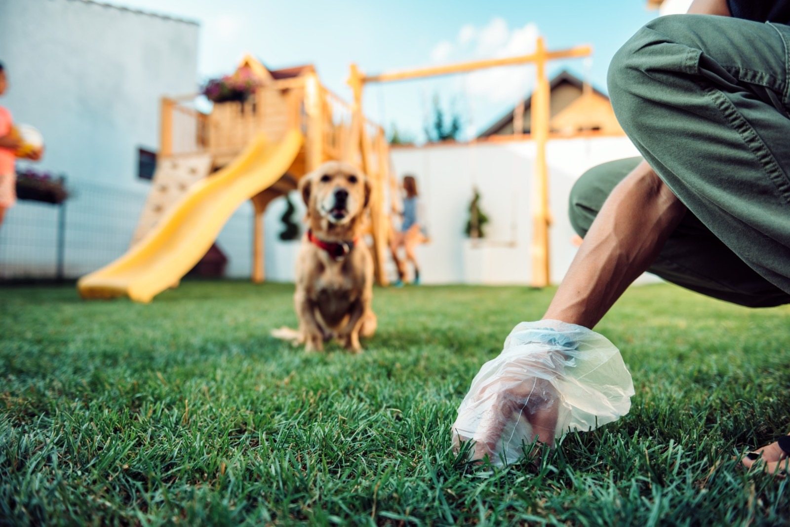 Ein Mann hatte genug davon, dass die Hunde seiner Nachbarn seinen Rasen in eine Toilette verwandelten – und beschloss, ihnen eine Lektion zu erteilen