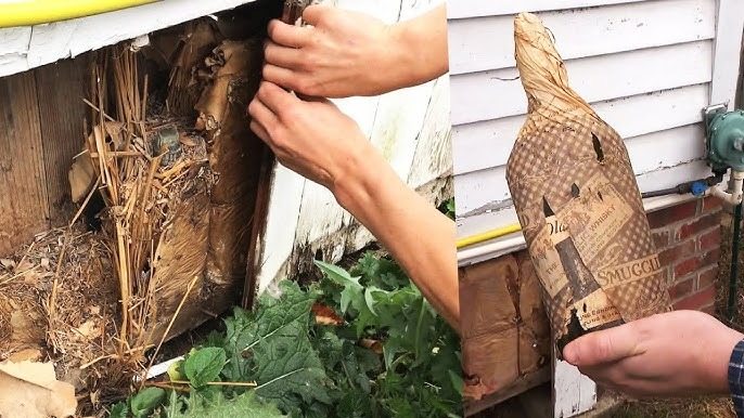 Dieser Mann verwandelte ein altes Whiskyfass in ein einzigartiges Zuhause – entdecken Sie dieses außergewöhnliche Haus ➤ Globenow.info