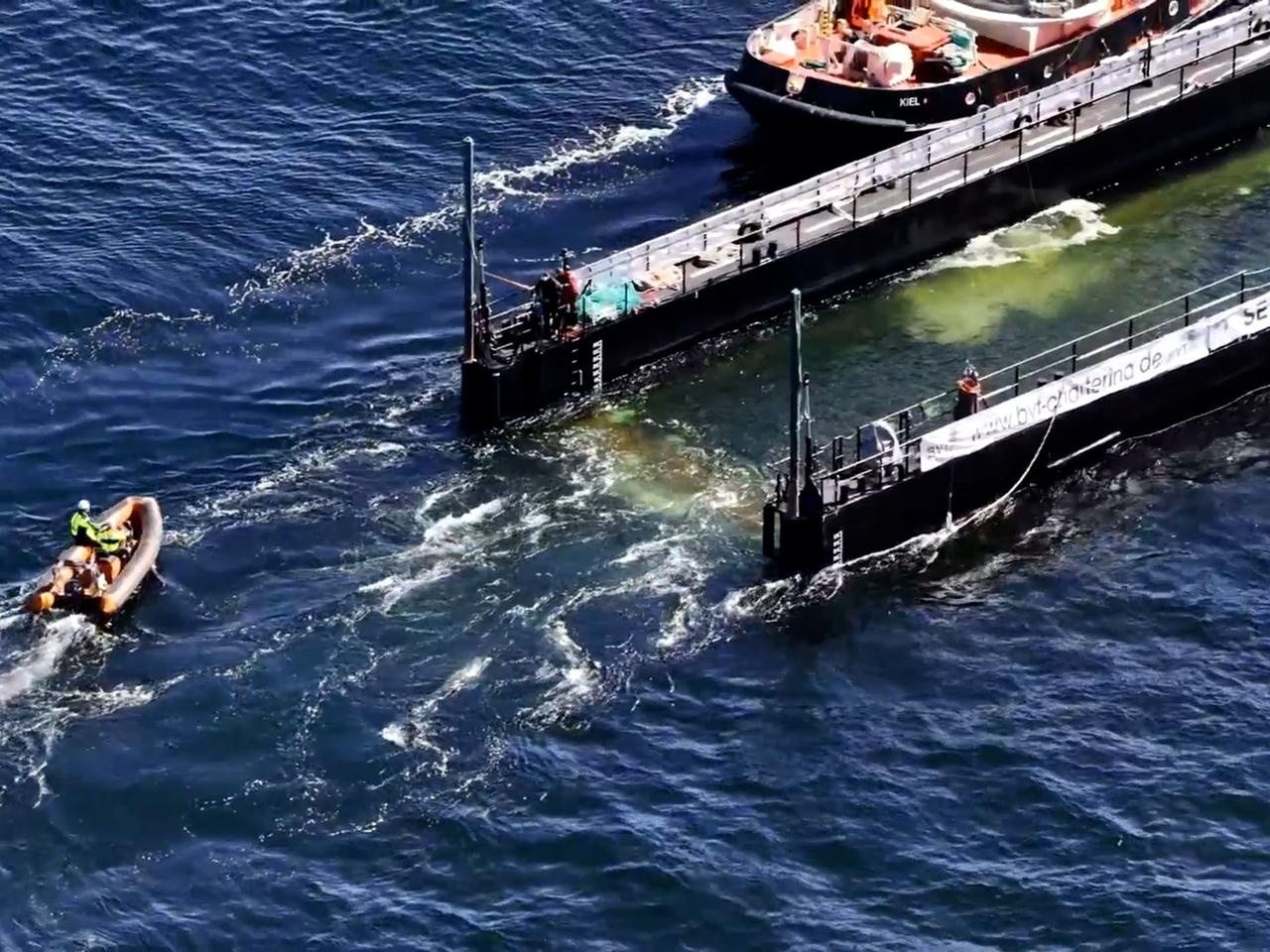 Wal in der Ostsee: Ein Buckelwal ist in ein Transportschiff geschwommen und wird transportiert