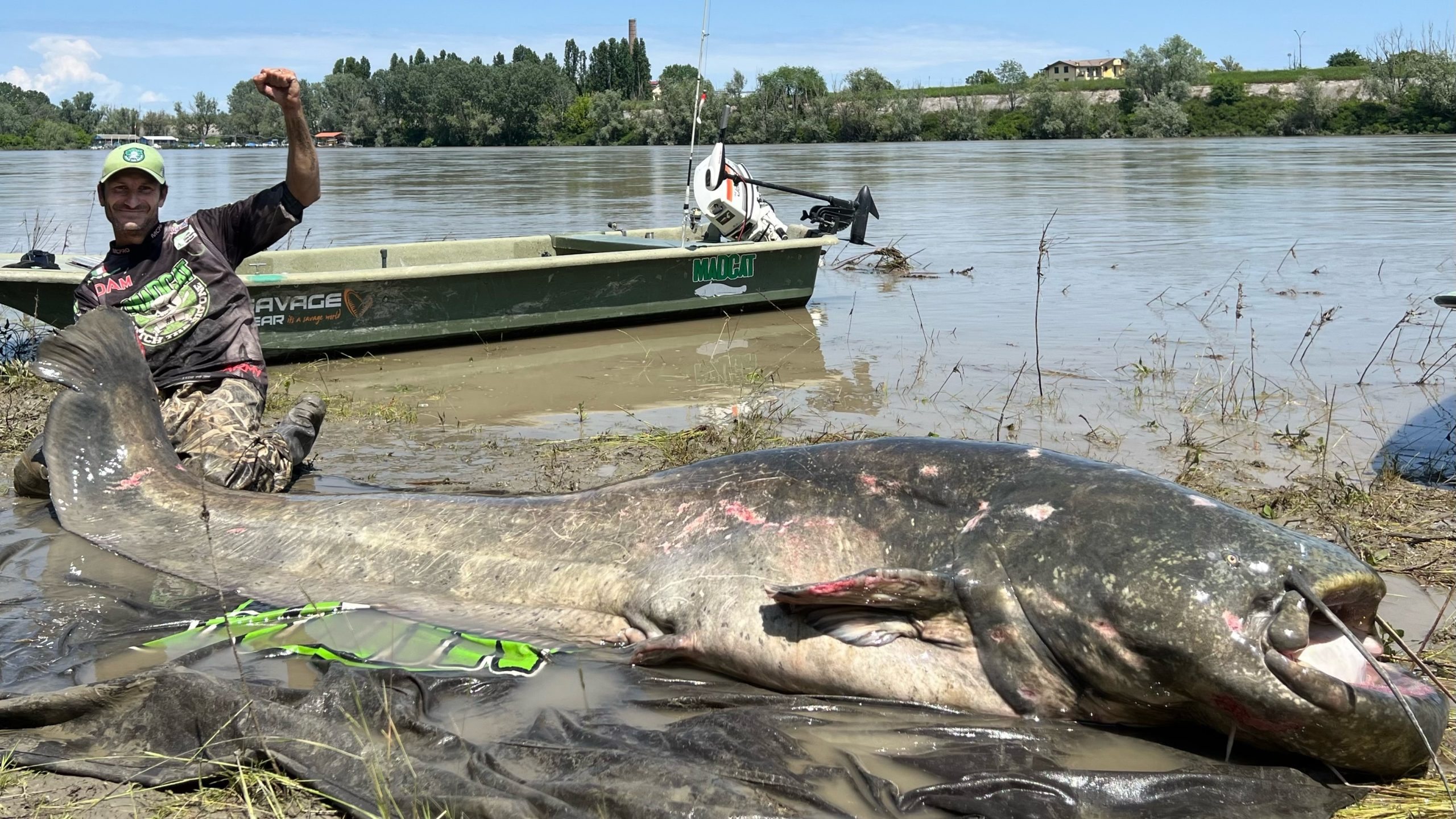 Ein gigantischer, 2,9 Meter langer Wels ist der größte jemals gefangene