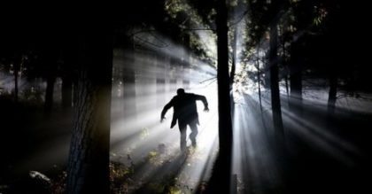Ihr Kätzchen wurde von etwas entführt, das im Wald lauerte – die Nachbarn ahnten nichts von der Gefahr, die von ihm ausging ➤ Globenow.info