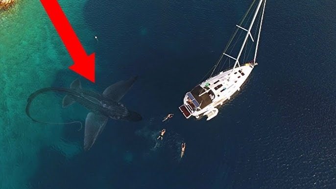 Die Fischer, deren Boote nach der Kollision mit dem mysteriösen Meereswesen gekentert waren, waren sprachlos