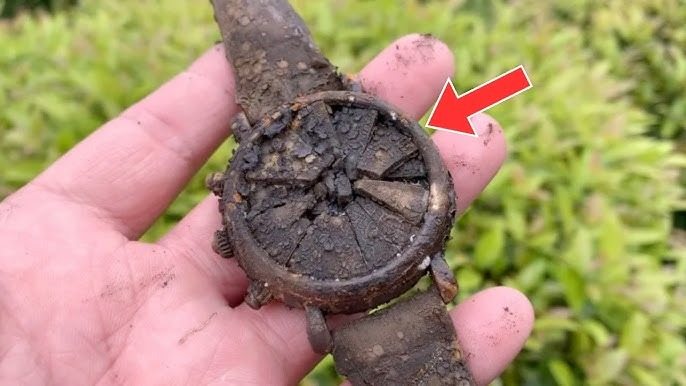 Ein Mann fand eine alte Uhr in seinem Garten – ein Juwelier traute seinen Augen nicht