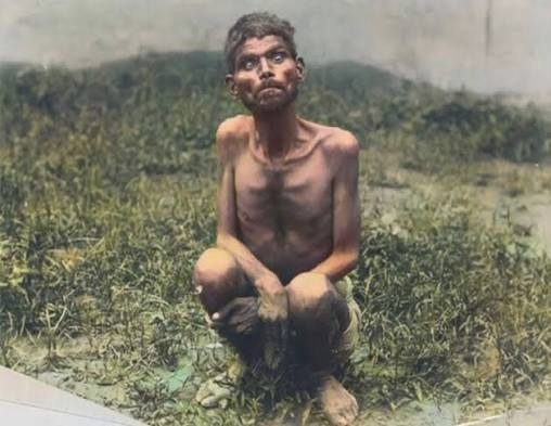 Das kurze und tragische Schicksal von Dina Sanichar, einem Jungen, der unter Wölfen aufwuchs und zum Vorbild für Mowgli wurde ➤ Globenow.info