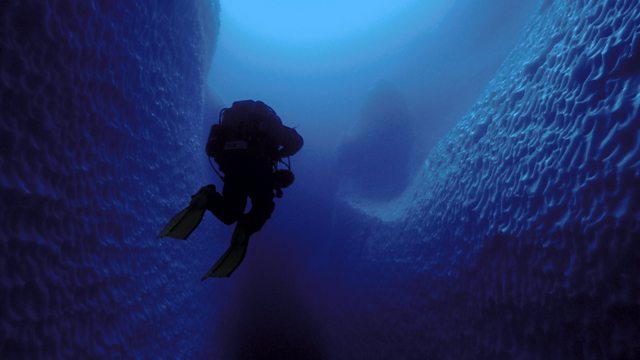 Eine dunkle Gestalt im Inneren eines Eisbergs führte zu einer außergewöhnlichen Entdeckung