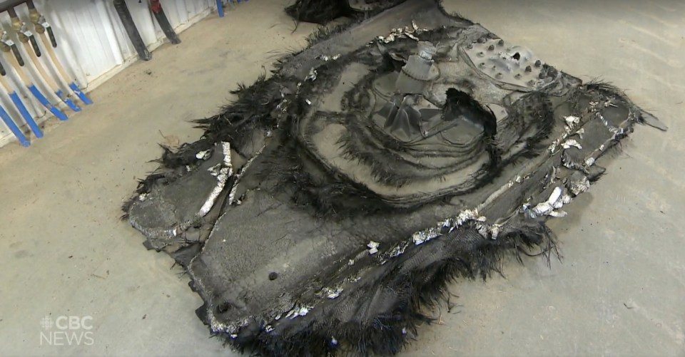 Objeto espacial misterioso cai em fazenda de ovelhas; fazendeiro empalidece ao perceber a verdade