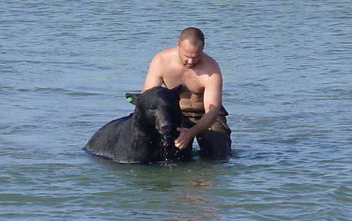 Dieser Bär ertrank im Meer. Unglaublich, was dieser Kerl getan hat! ➤ Globenow.info