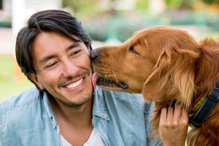 Wenn Ihr Hund über 7 Jahre alt ist, tun Sie dies jeden Abend ➤ Globenow.info