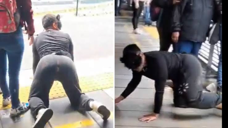 VIDEO: Therianer in der Metro Bogotá – Ungewöhnliche Fahrgäste schockieren