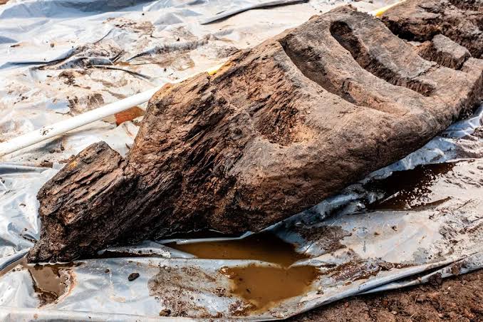 Holzbildhauer findet Lederbeutel in einem Baumstamm versteckt, öffnet ihn und bricht in Tränen aus