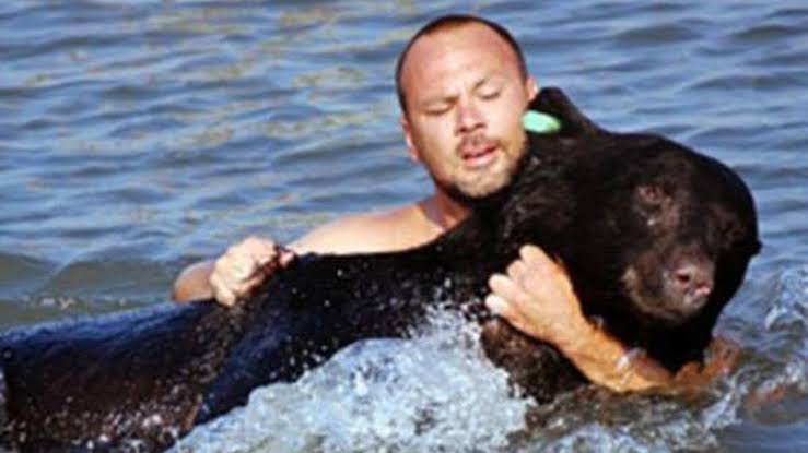 Dieser Bär ertrank im Meer. Unglaublich, was dieser Kerl getan hat!