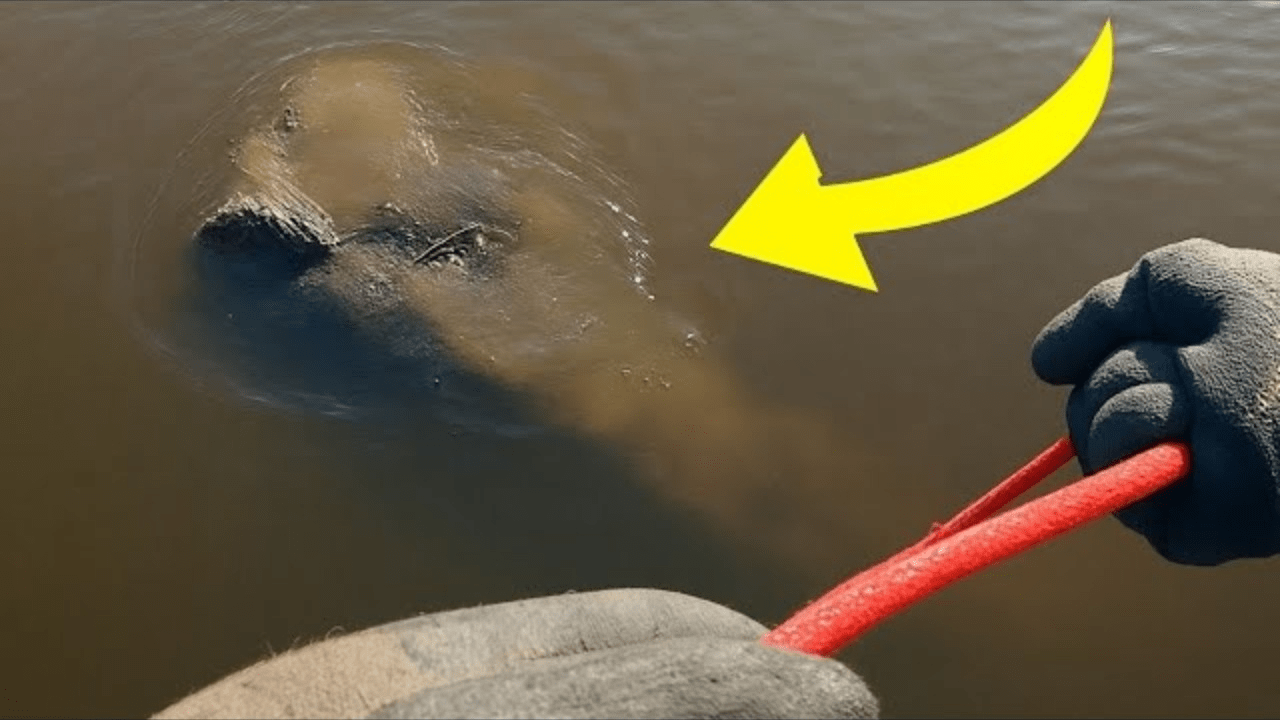 Ein Junge fand ein Seil im See, doch als sie daran zogen, rief ein Mann, sie sollten aufhören